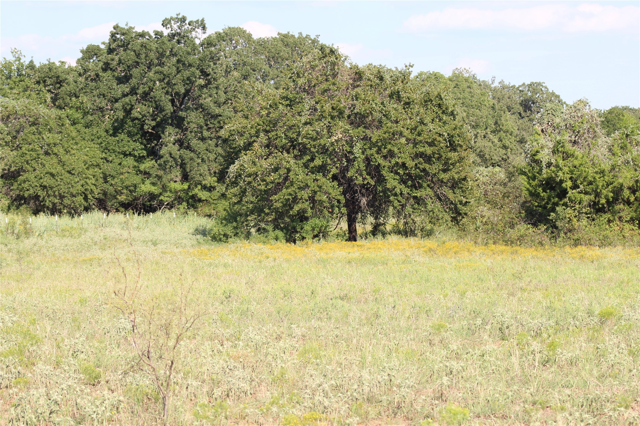 1179 Cr 1470 Chico TX 76431