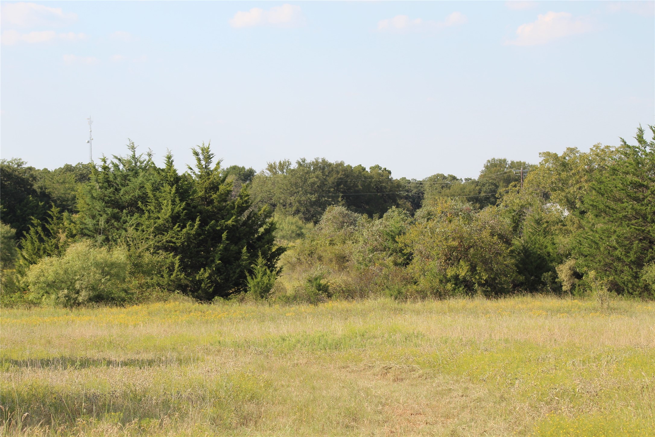 1179 Cr 1470 Chico TX 76431