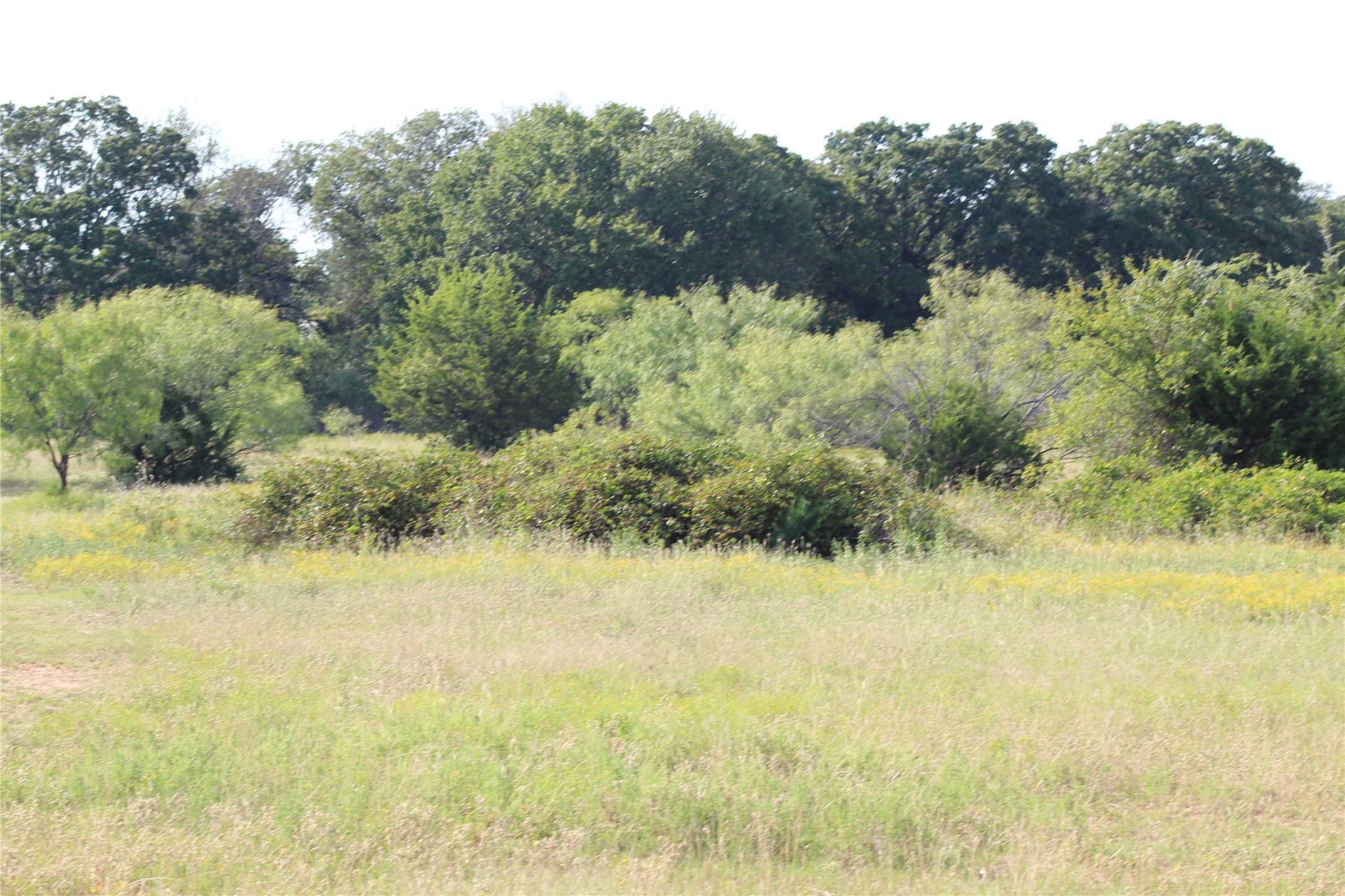 1179 Cr 1470 Chico TX 76431