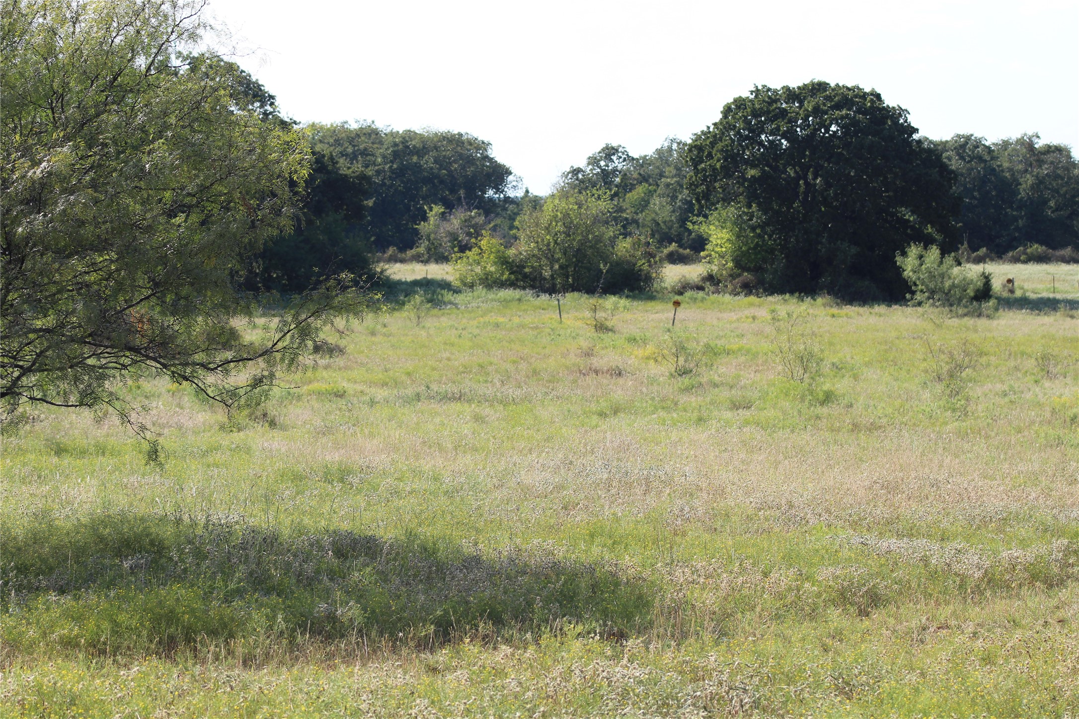 1179 Cr 1470 Chico TX 76431
