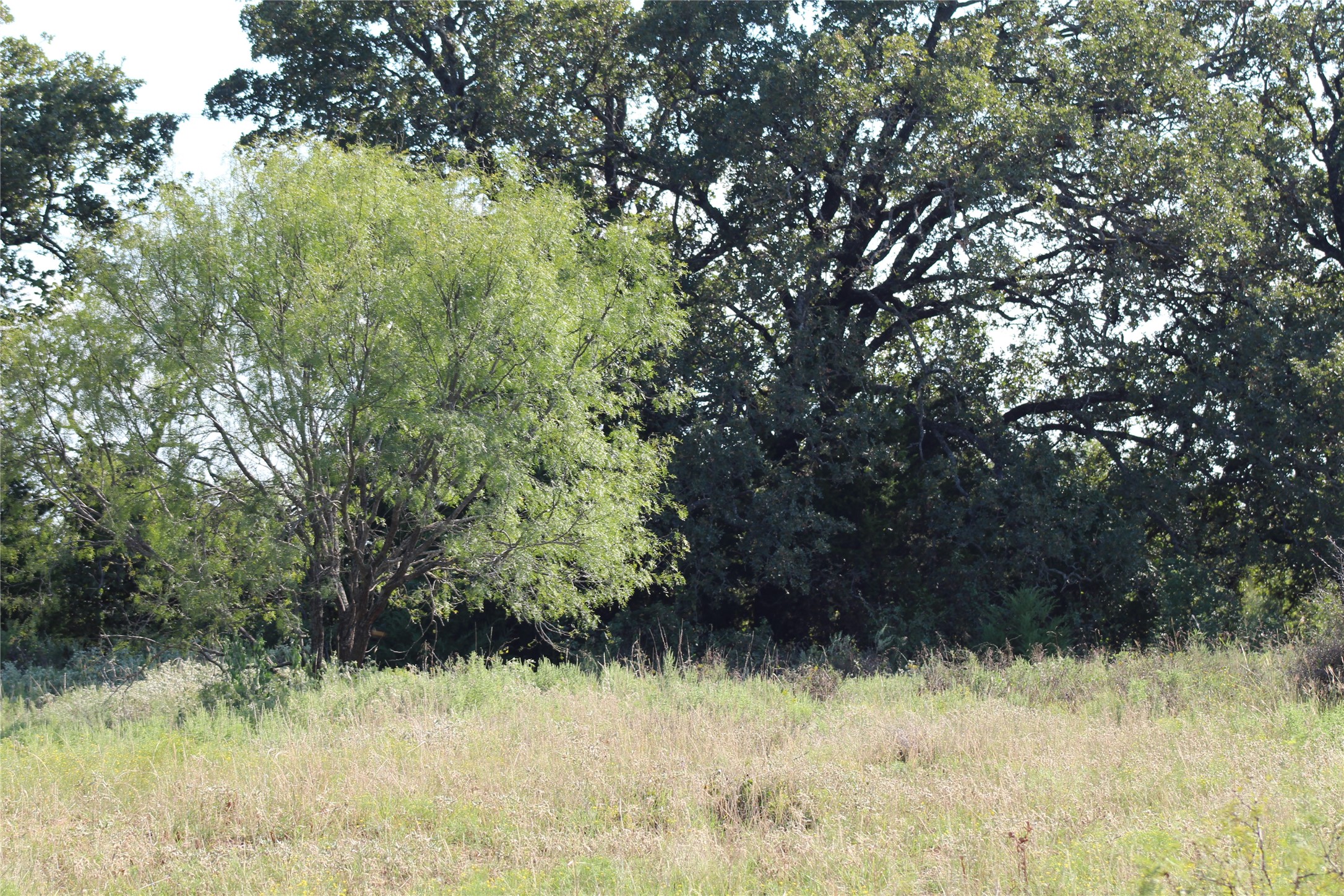 1179 Cr 1470 Chico TX 76431