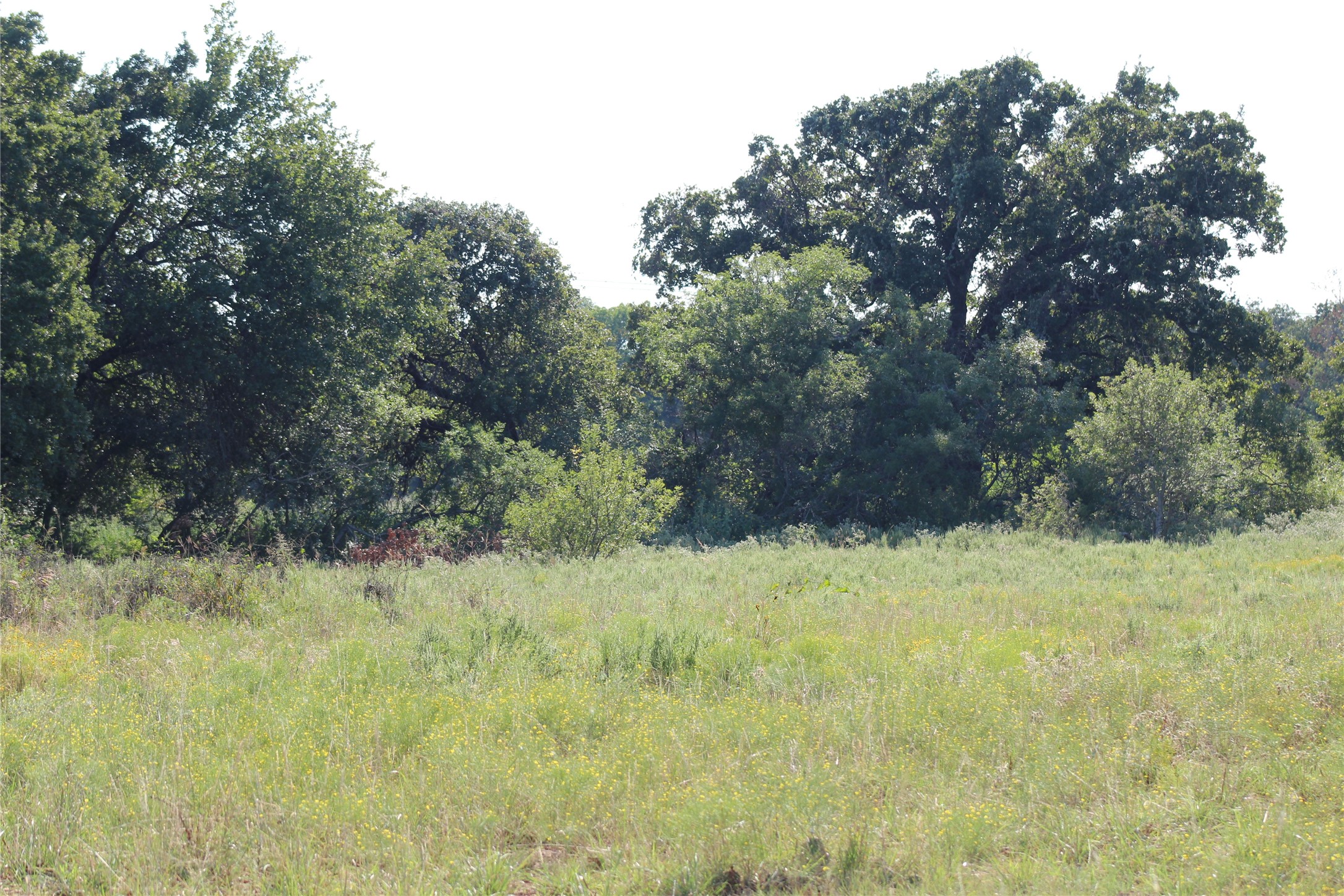 1179 Cr 1470 Chico TX 76431