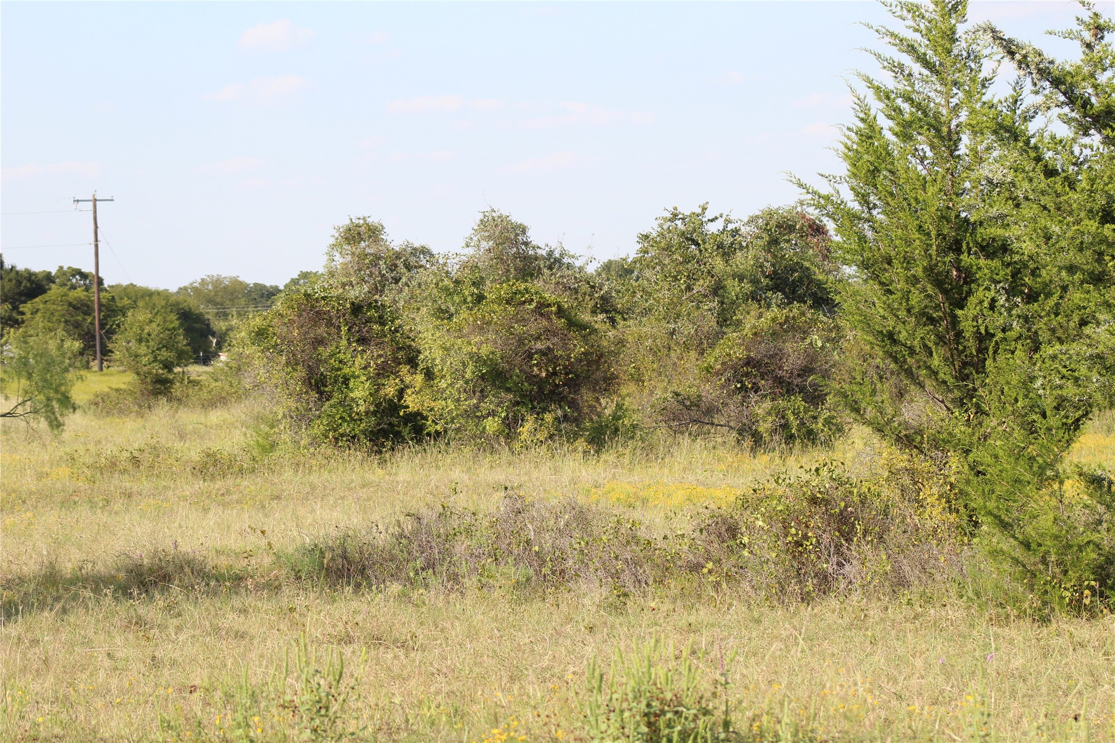 1179 Cr 1470 Chico TX 76431