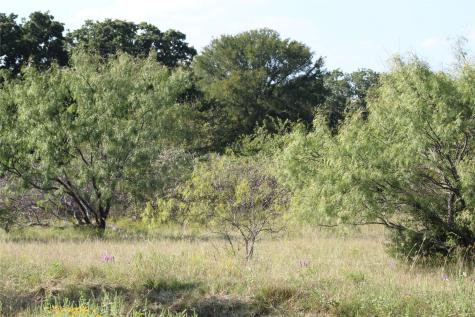 1179 Cr 1470 Chico TX 76431