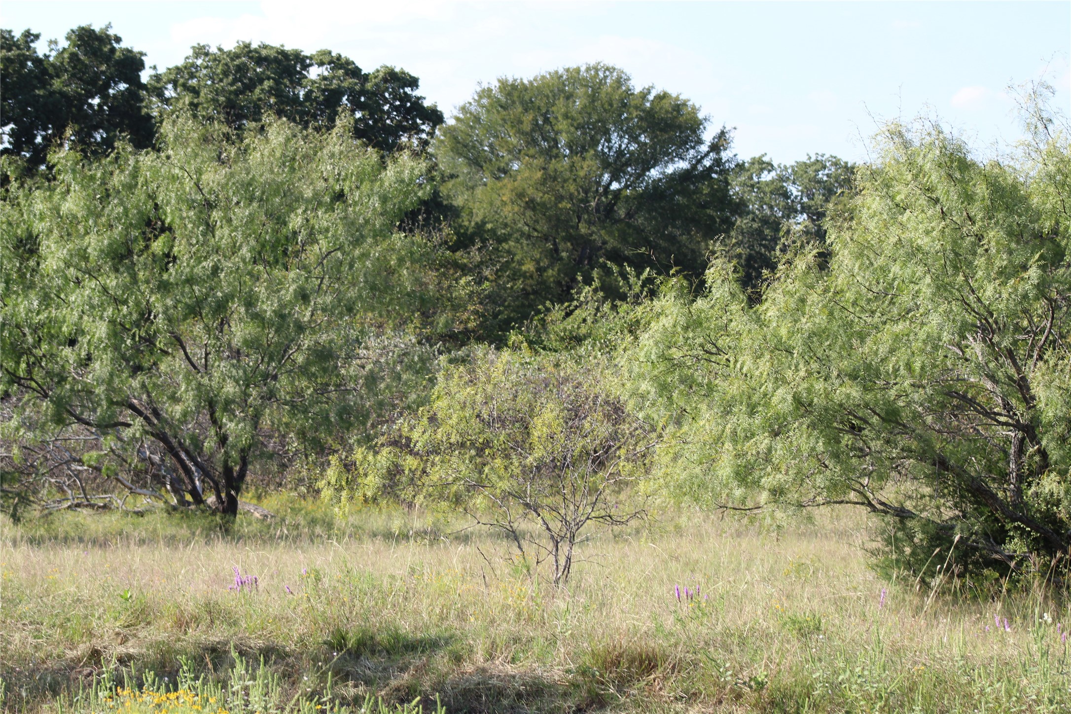 1179 Cr 1470 Chico TX 76431
