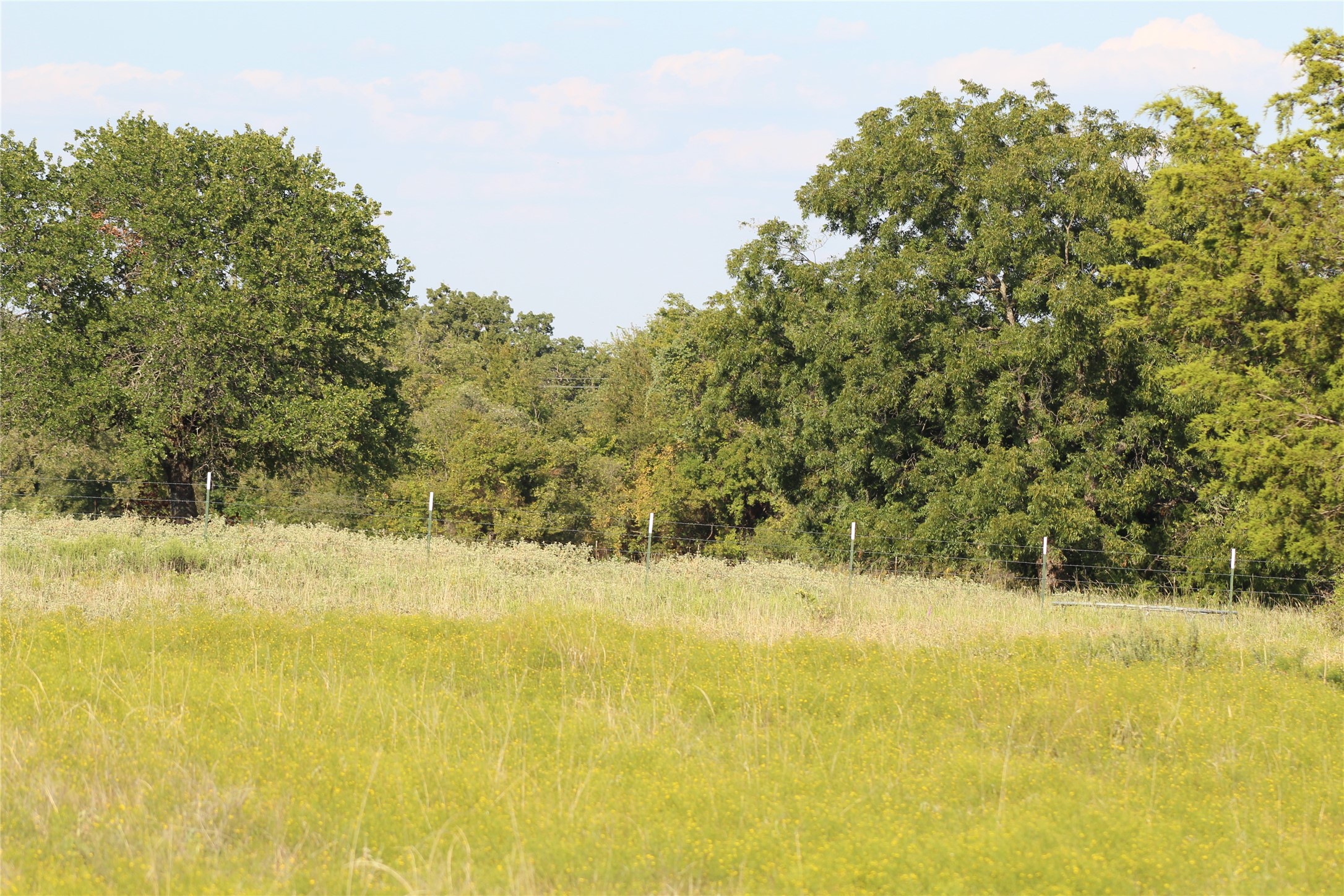 1179 Cr 1470 Chico TX 76431