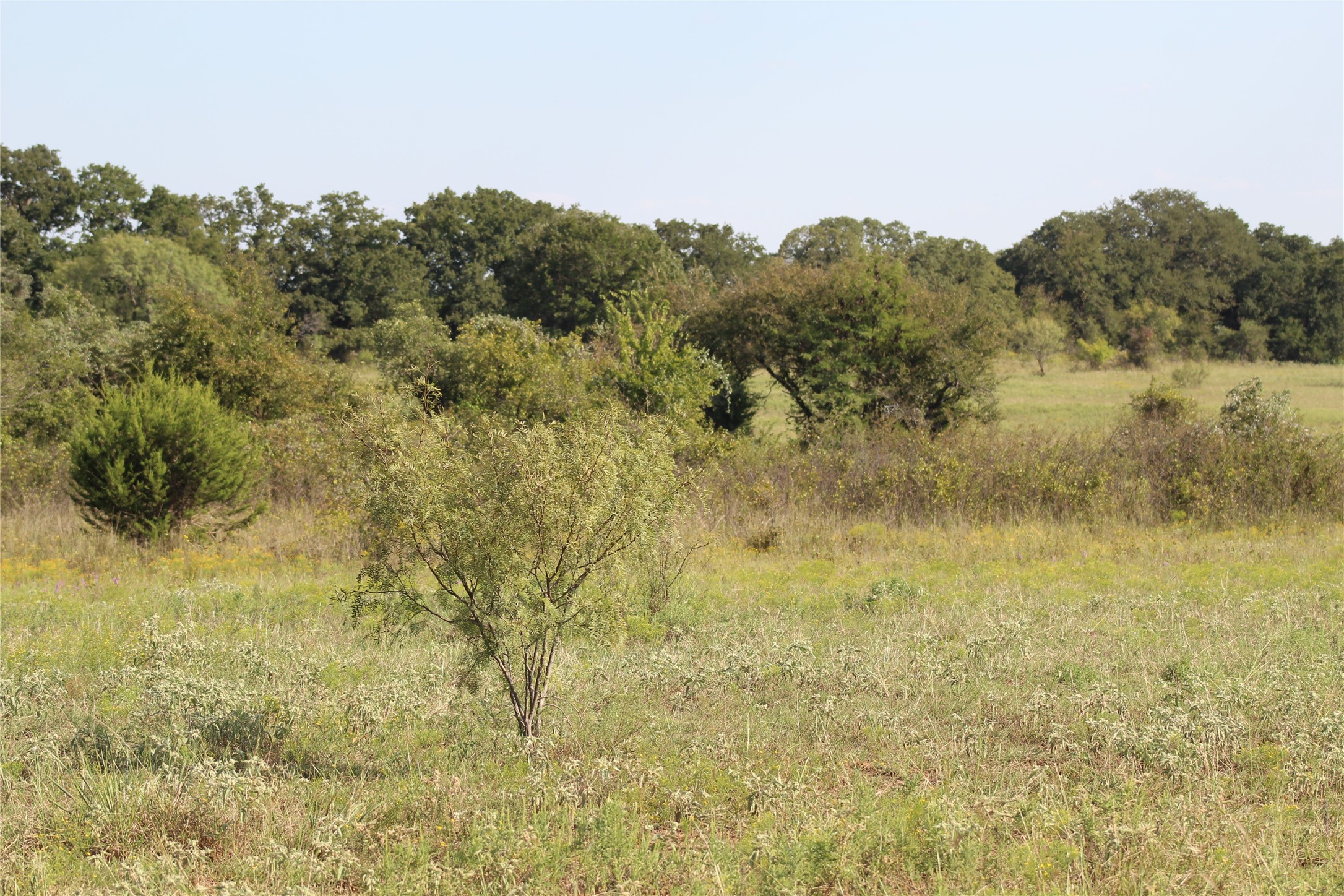 1179 Cr 1470 Chico TX 76431