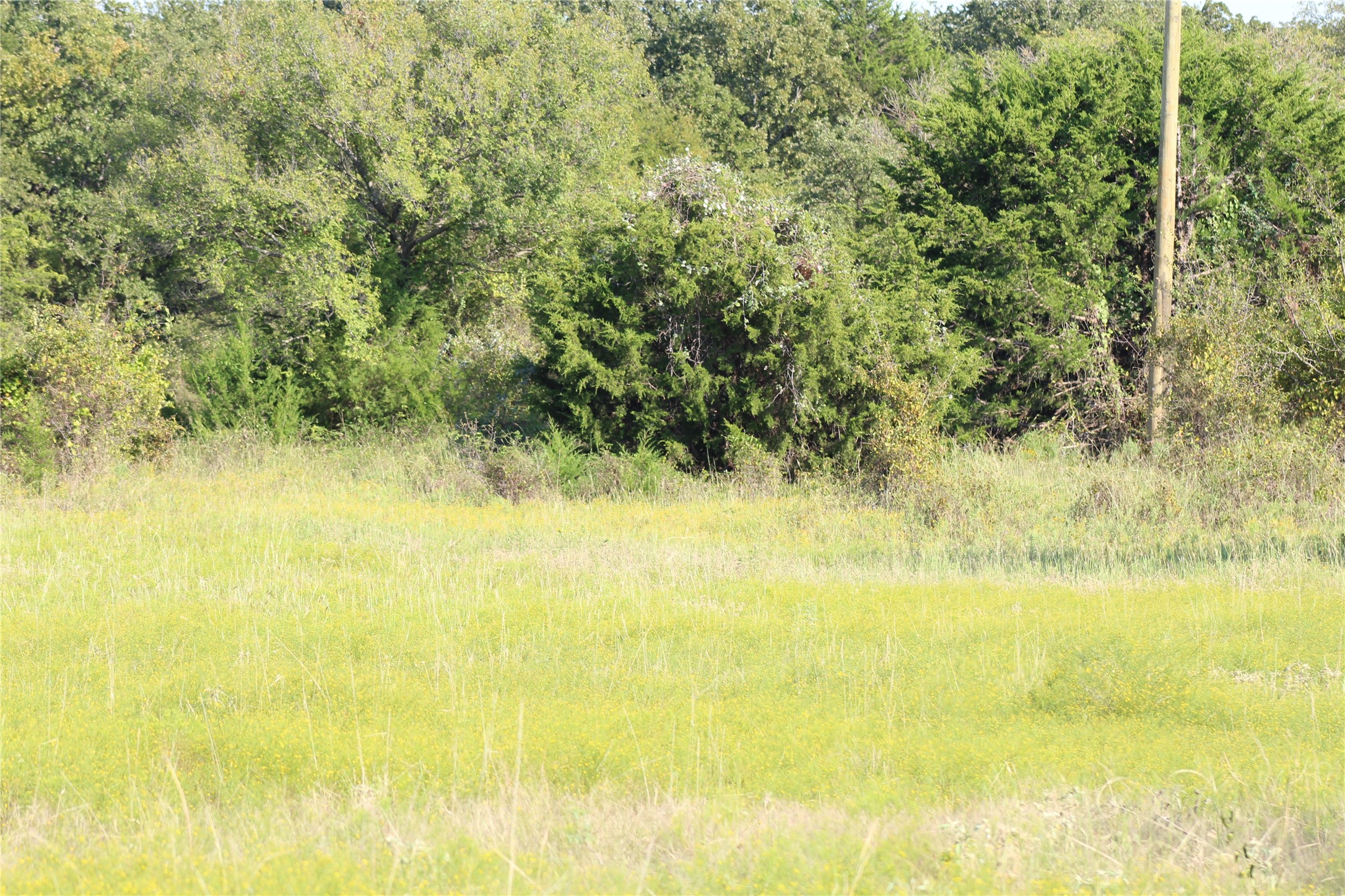 1179 Cr 1470 Chico TX 76431