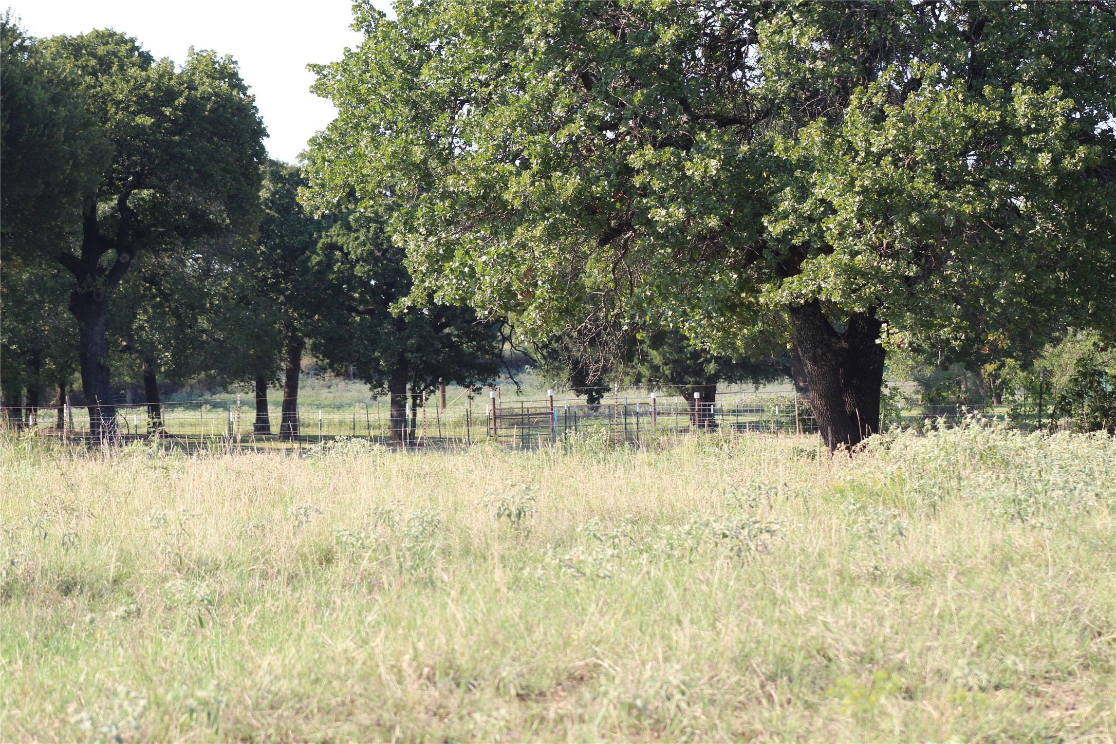 1179 Cr 1470 Chico TX 76431