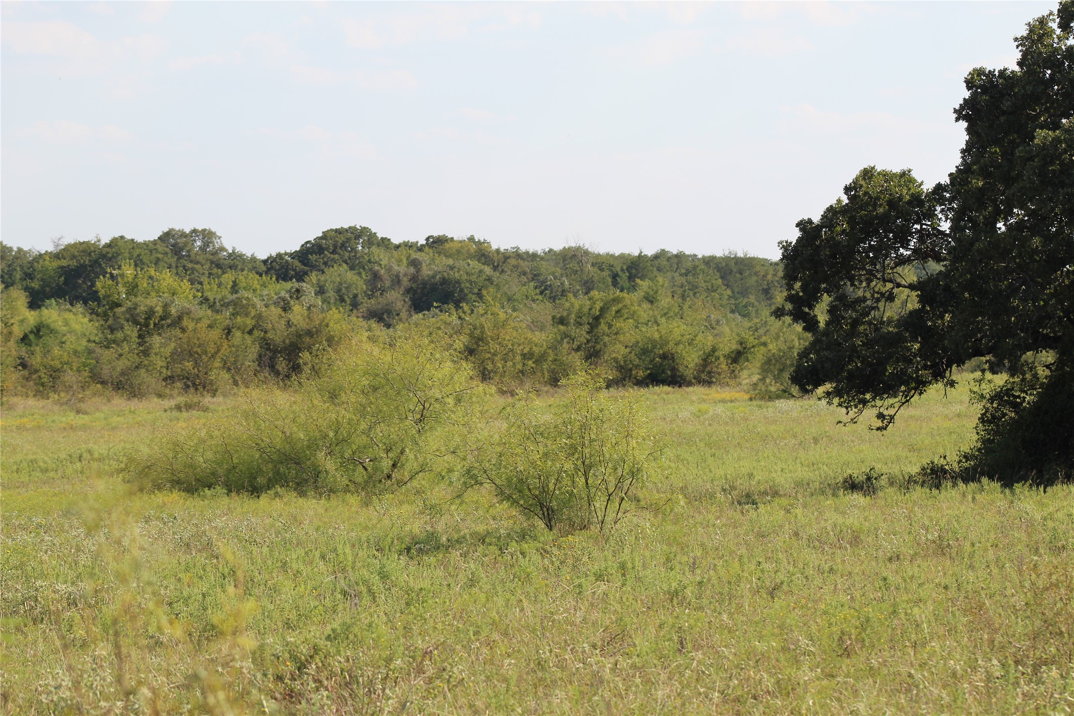1179 Cr 1470 Chico TX 76431
