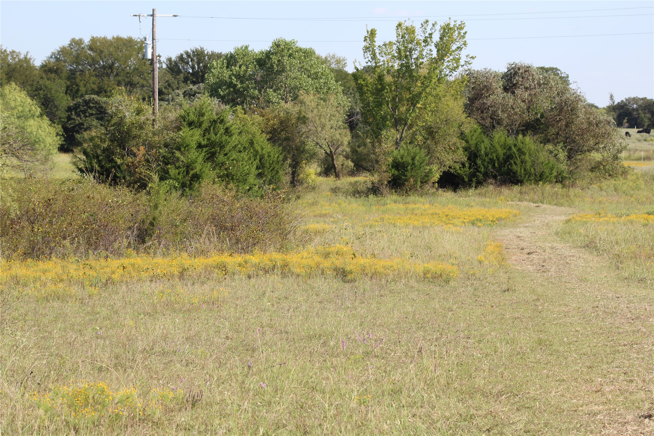 1179 Cr 1470 Chico TX 76431