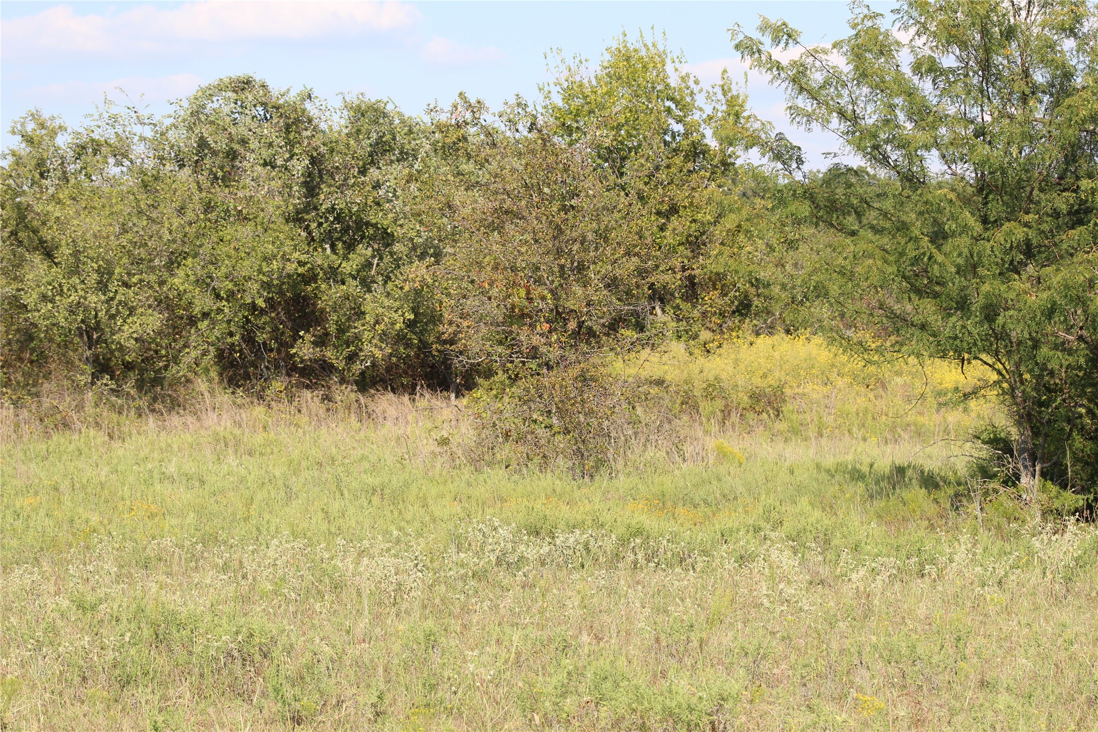 1179 Cr 1470 Chico TX 76431