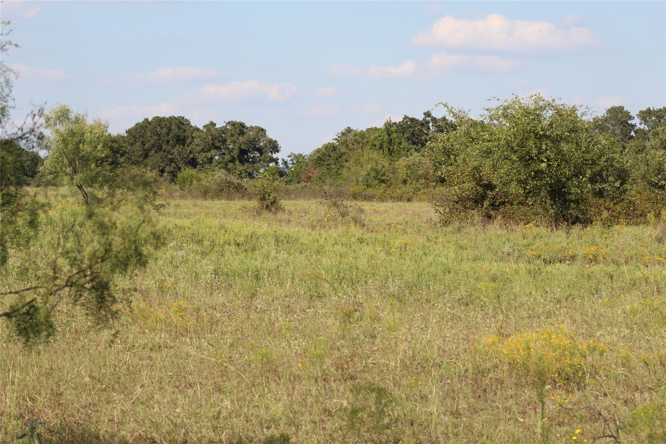 1179 Cr 1470 Chico TX 76431