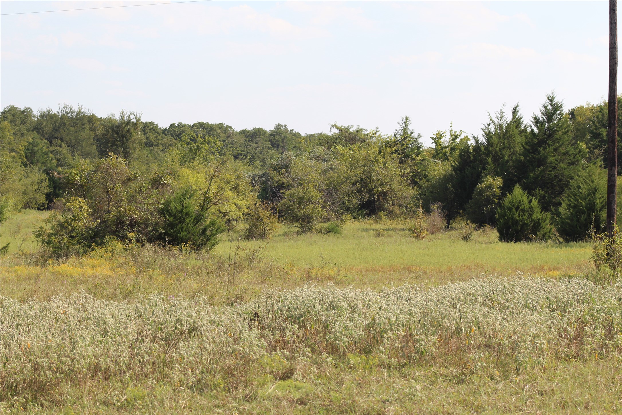 1179 Cr 1470 Chico TX 76431