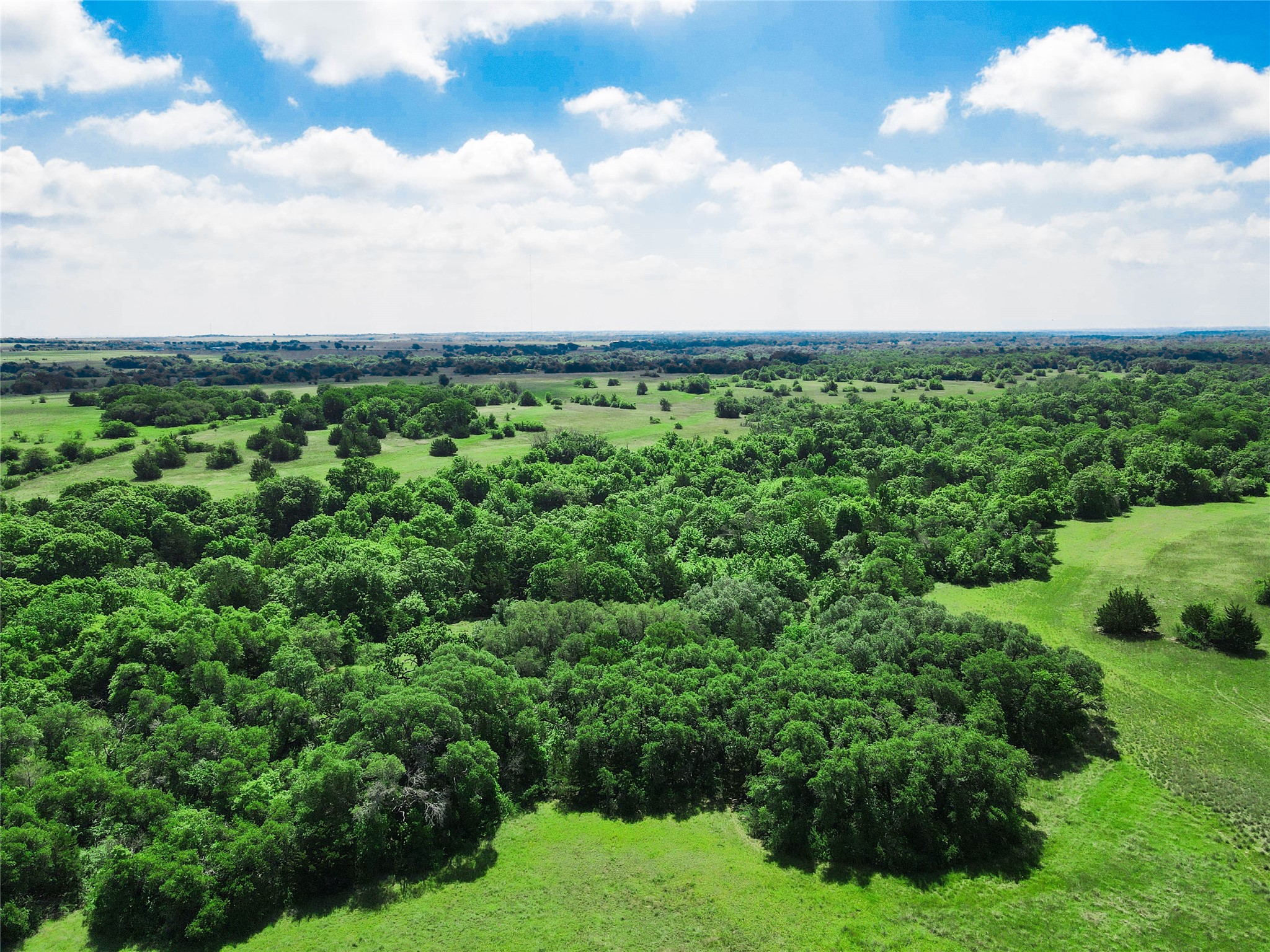 Tbd Merritt Road Forestburg TX 76239