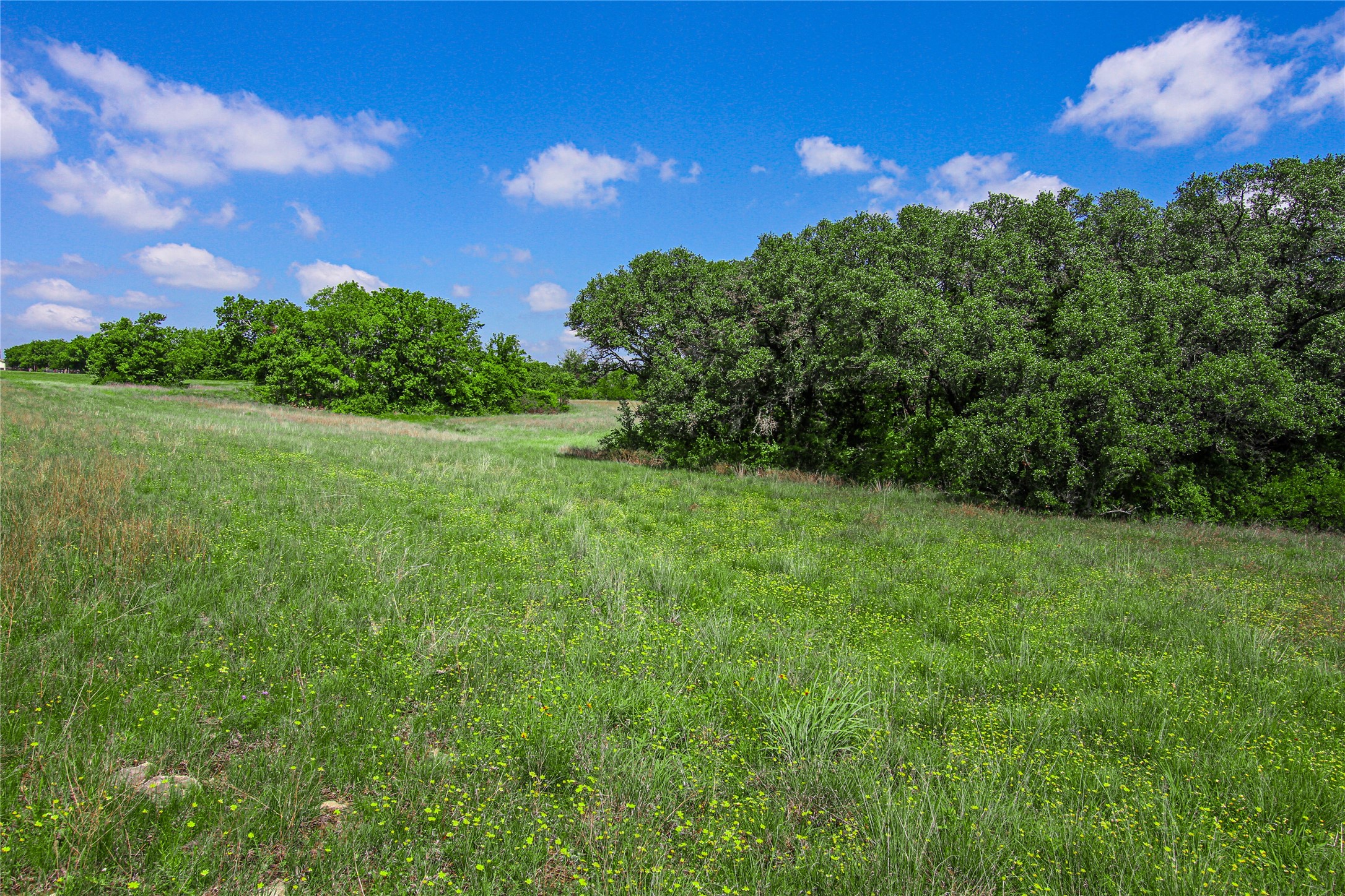 Tbd Merritt Road Forestburg TX 76239