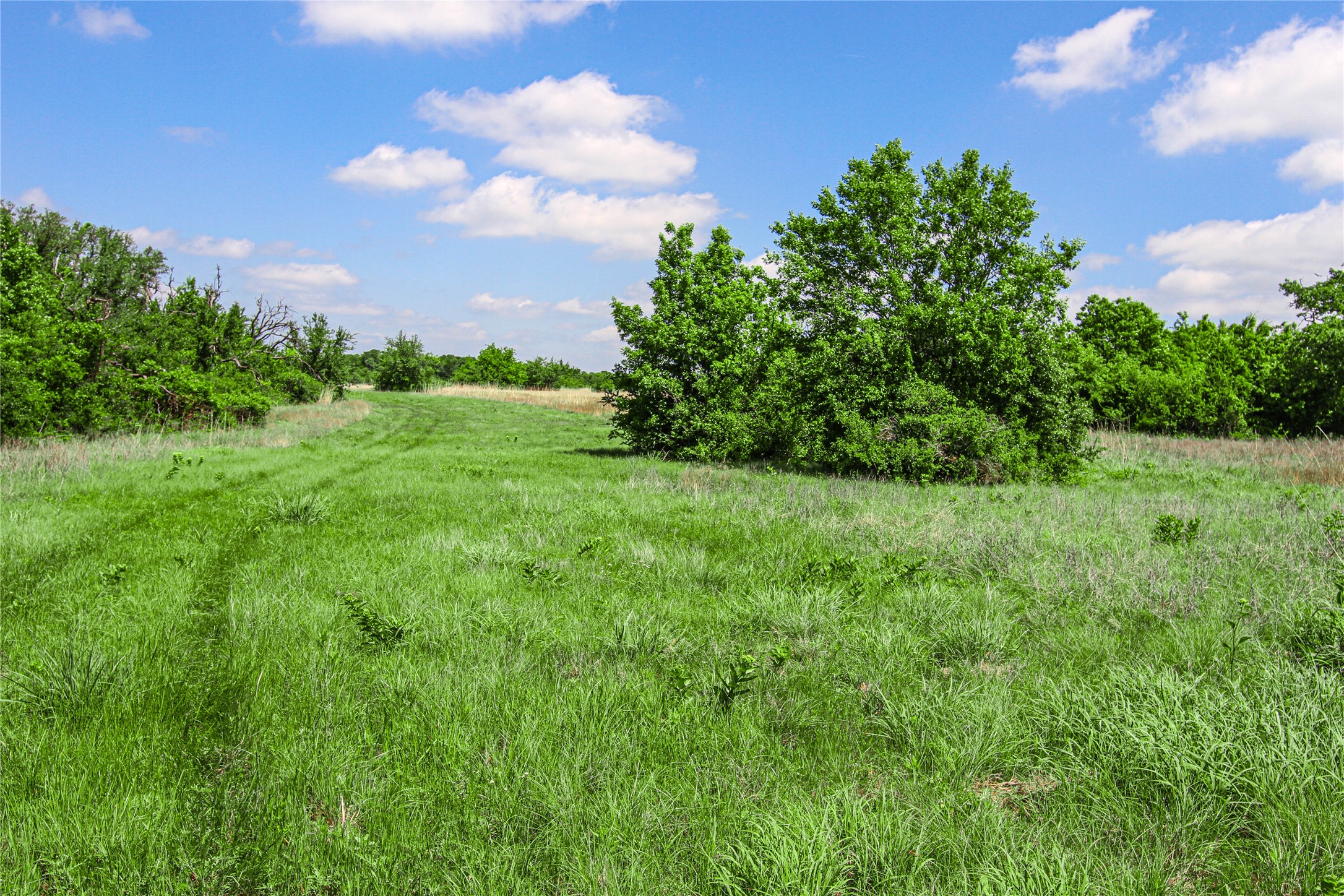 Tbd Merritt Road Forestburg TX 76239