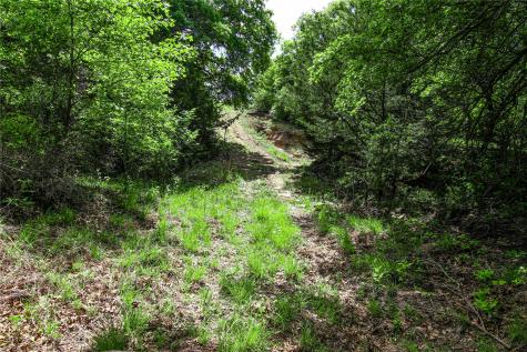 Tbd Merritt Road Forestburg TX 76239