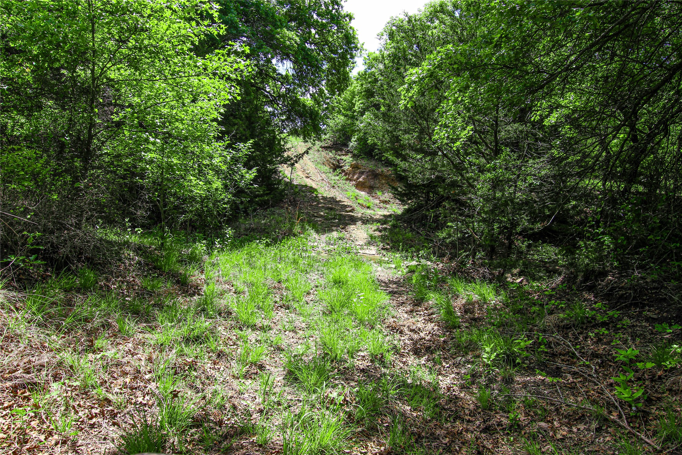 Tbd Merritt Road Forestburg TX 76239