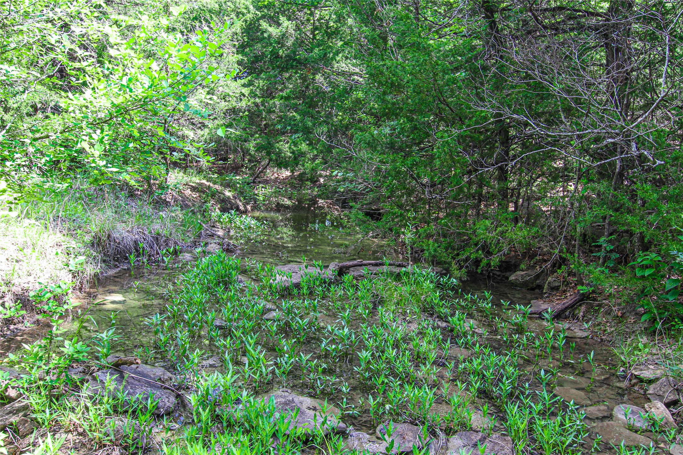 Tbd Merritt Road Forestburg TX 76239