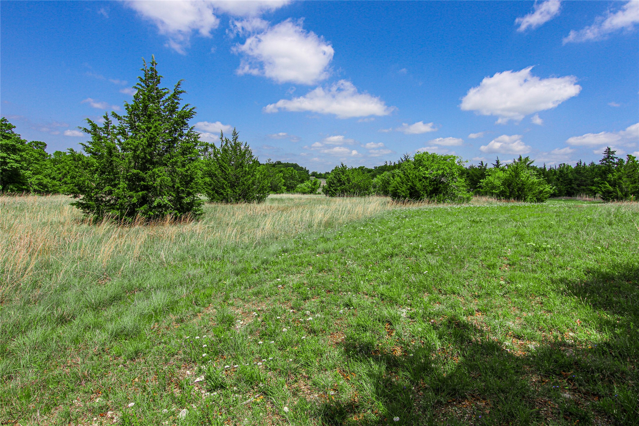 Tbd Merritt Road Forestburg TX 76239