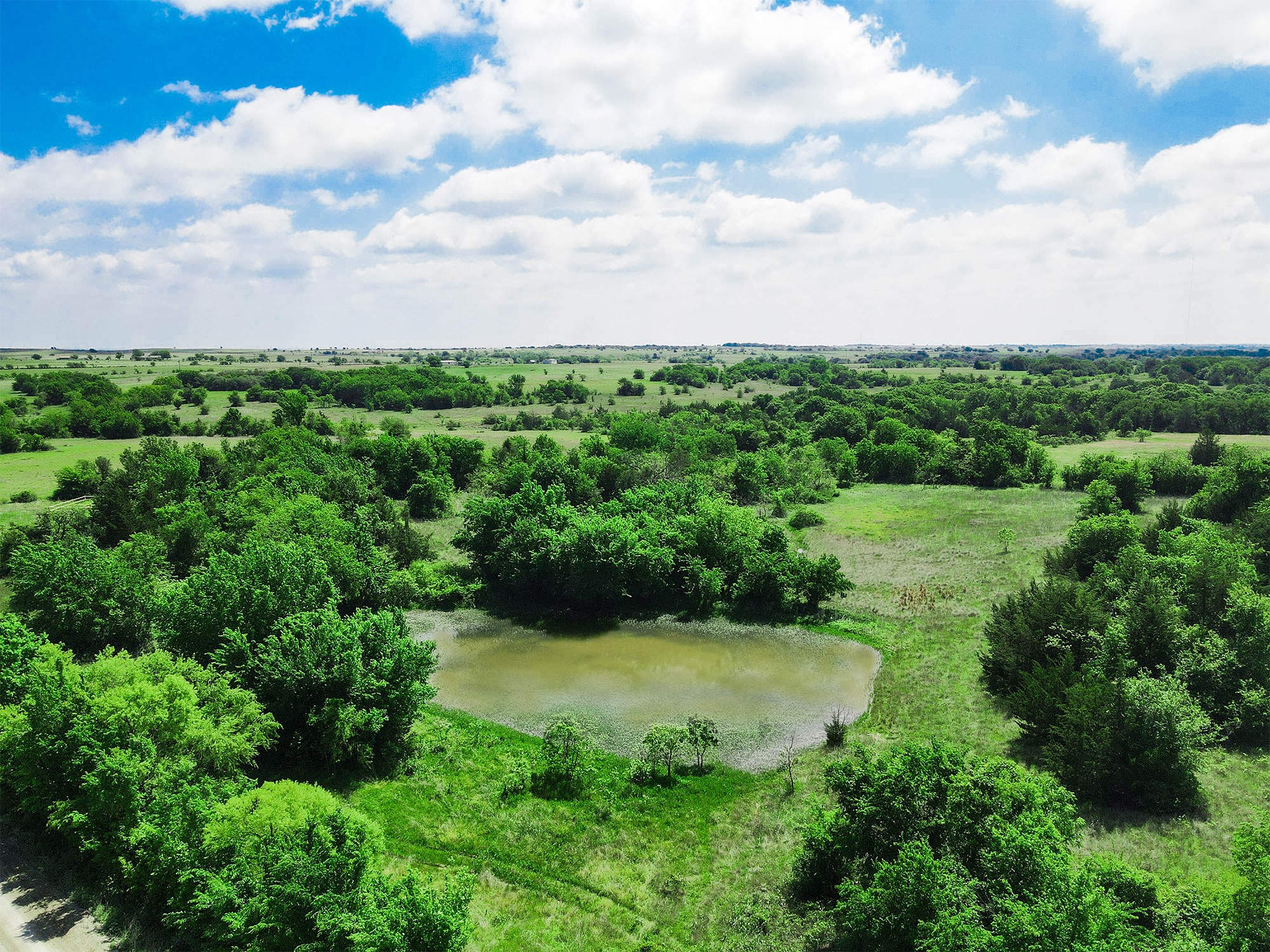 Tbd Merritt Road Forestburg TX 76239