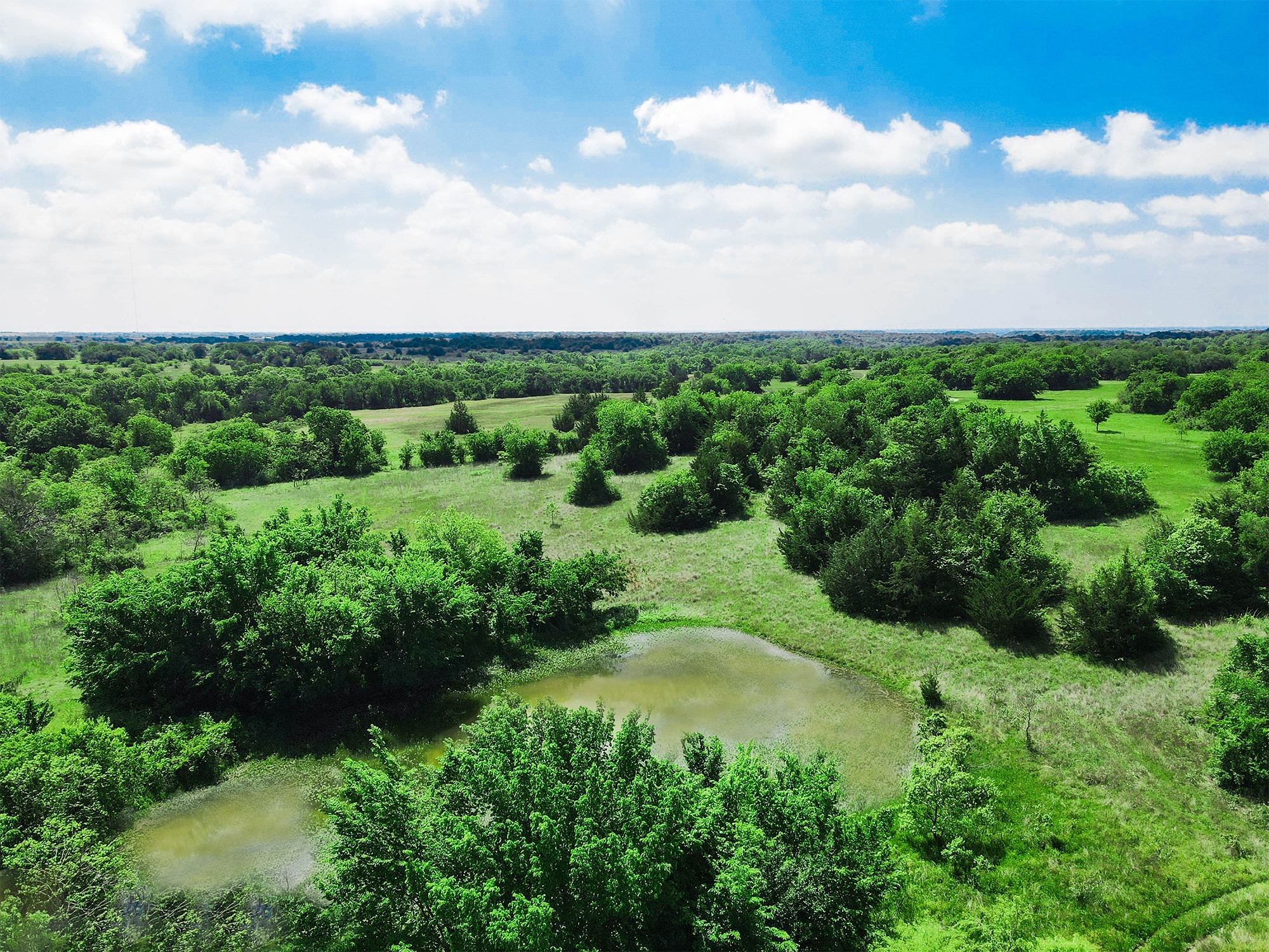 Tbd Merritt Road Forestburg TX 76239