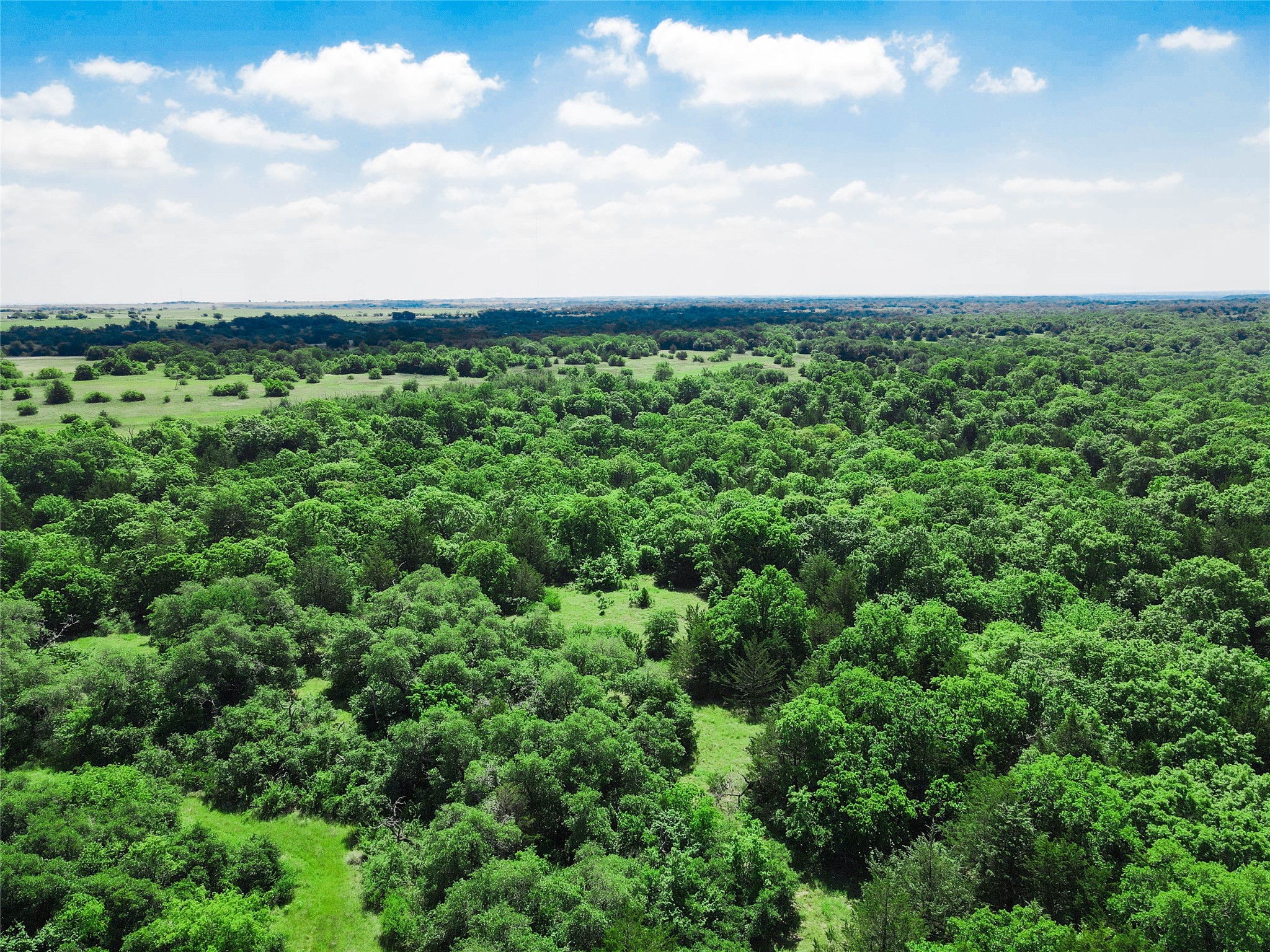 Tbd Merritt Road Forestburg TX 76239