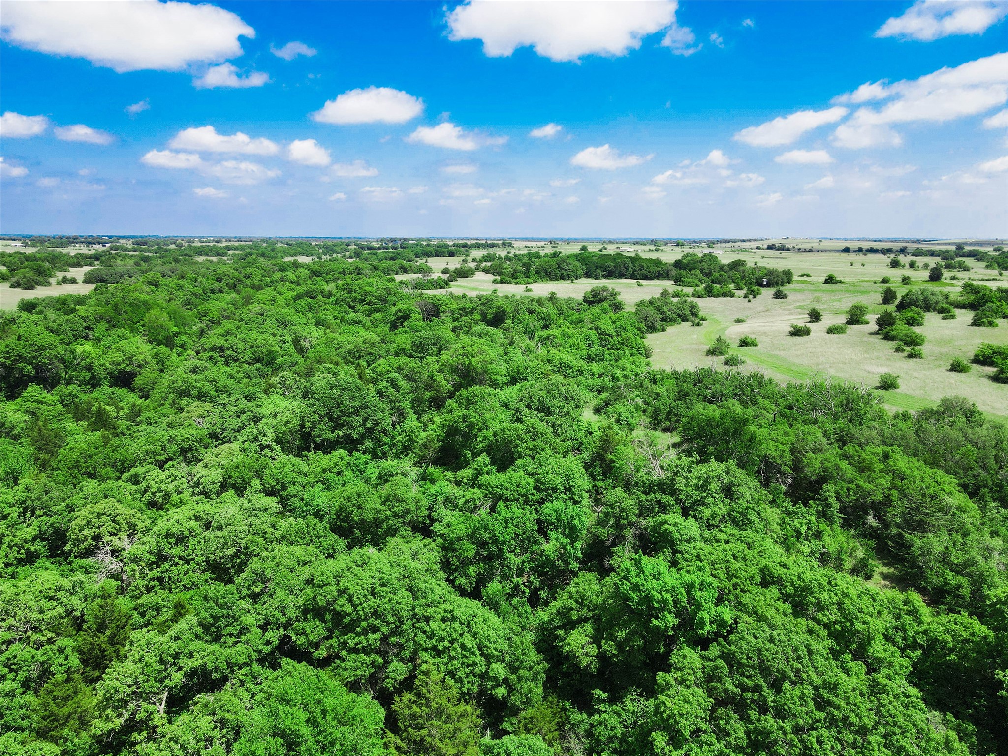 Tbd Merritt Road Forestburg TX 76239