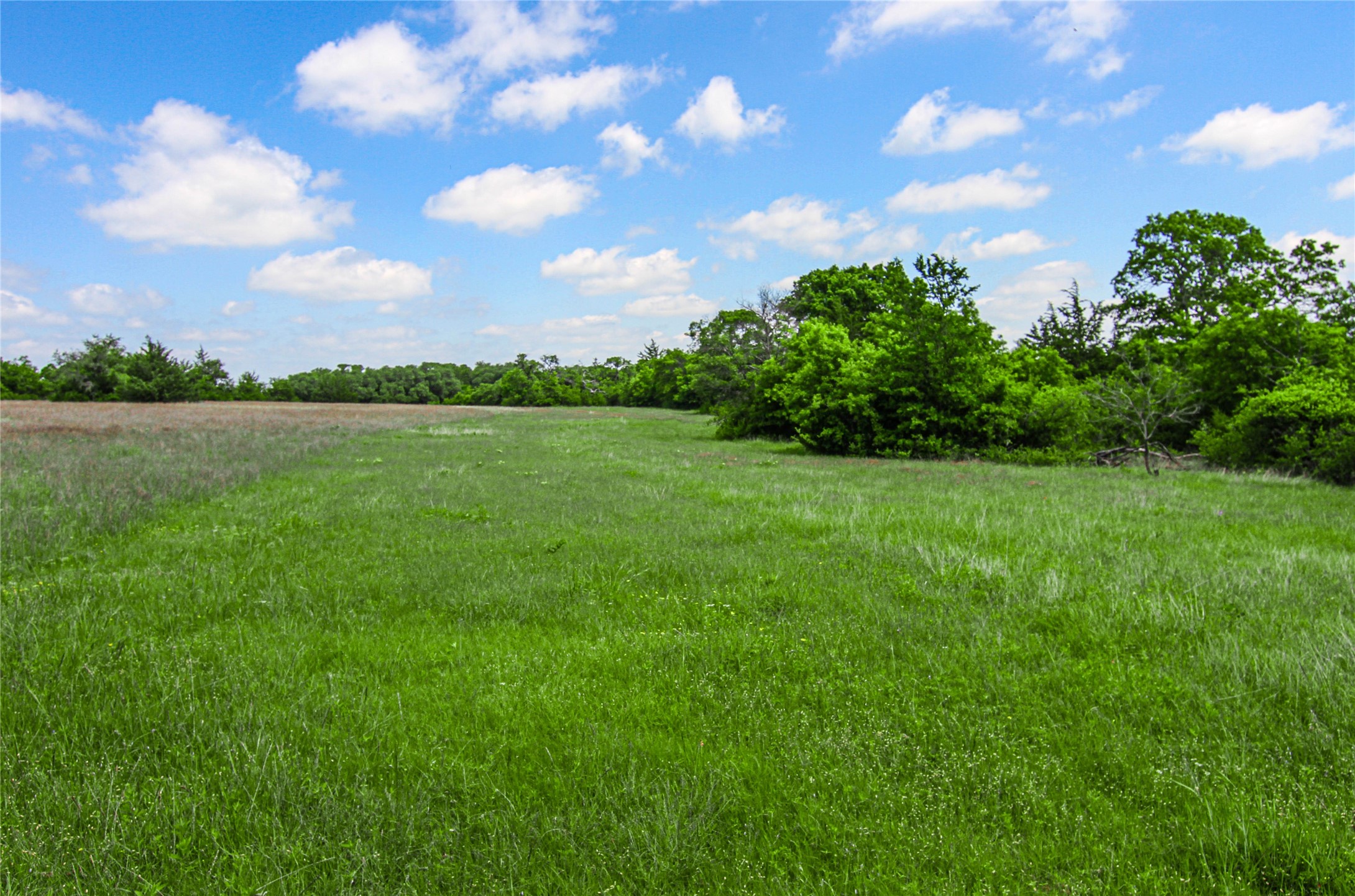 Tbd Merritt Road Forestburg TX 76239