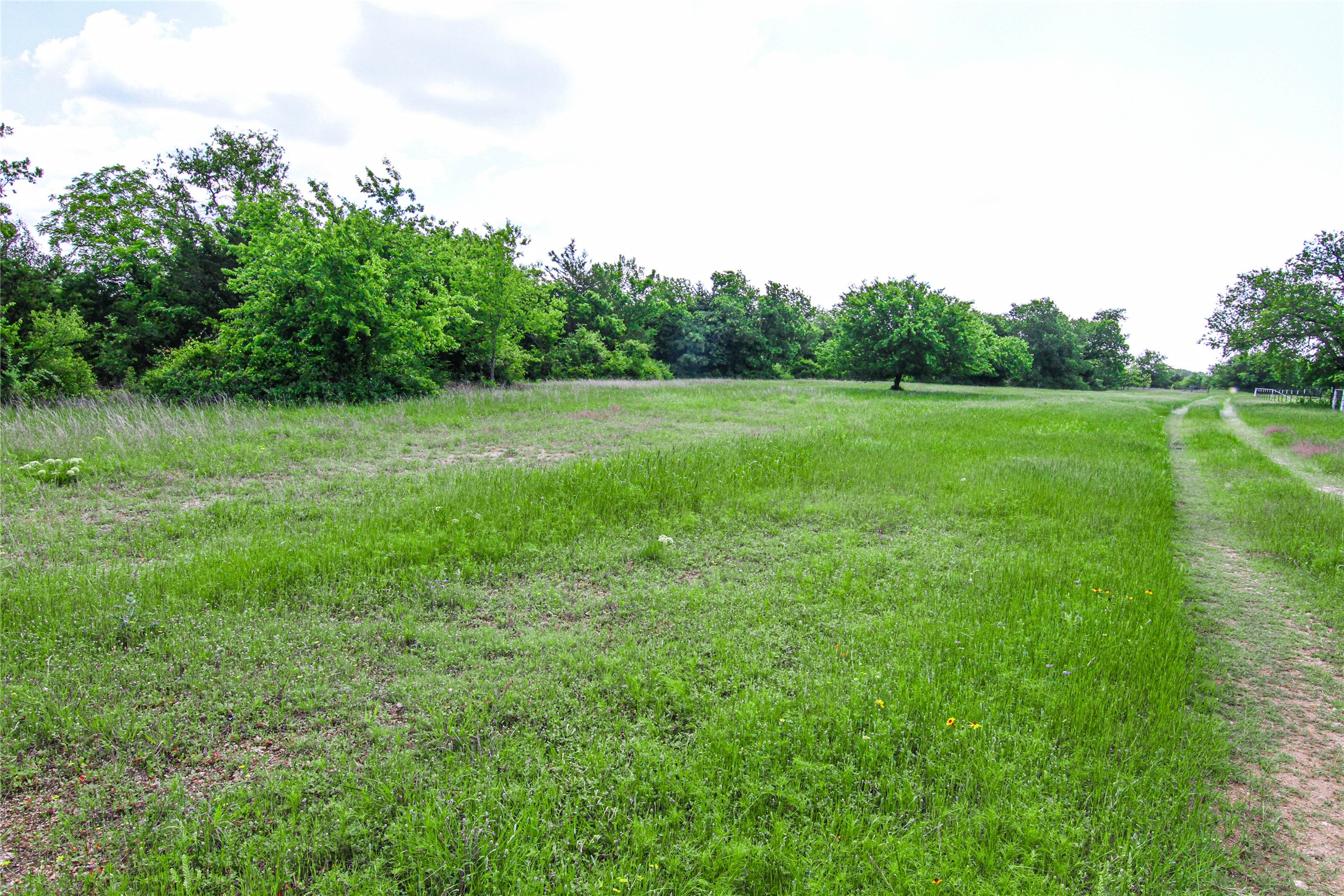 Tbd Merritt Road Forestburg TX 76239
