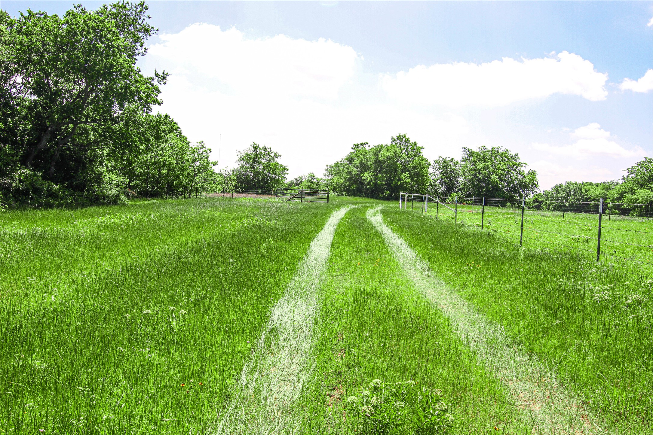 Tbd Merritt Road Forestburg TX 76239