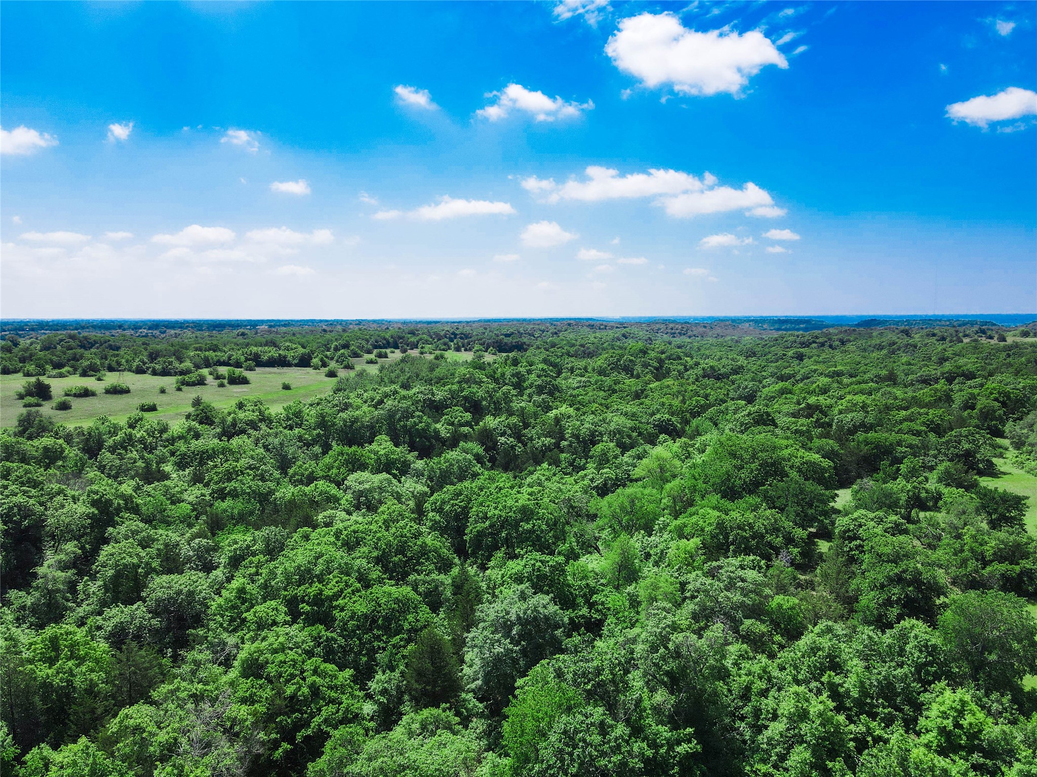 Tbd Merritt Road Forestburg TX 76239