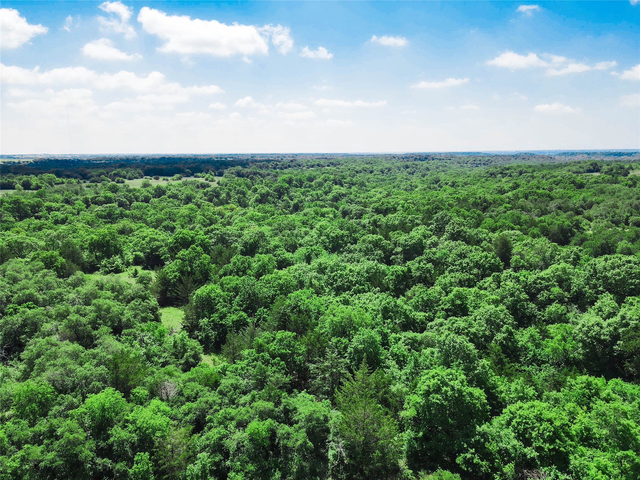 Tbd Merritt Road Forestburg TX 76239