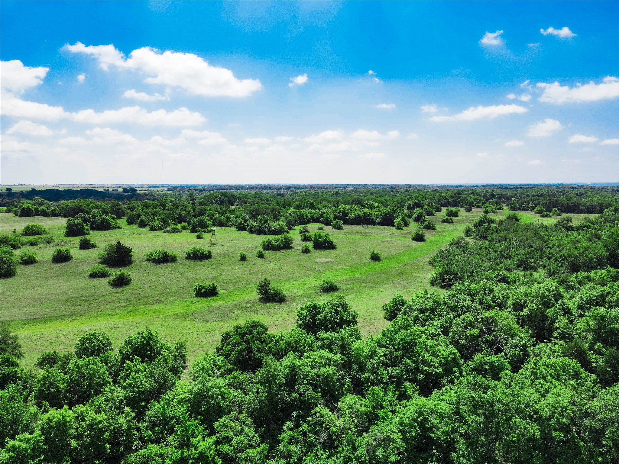 Tbd Merritt Road Forestburg TX 76239