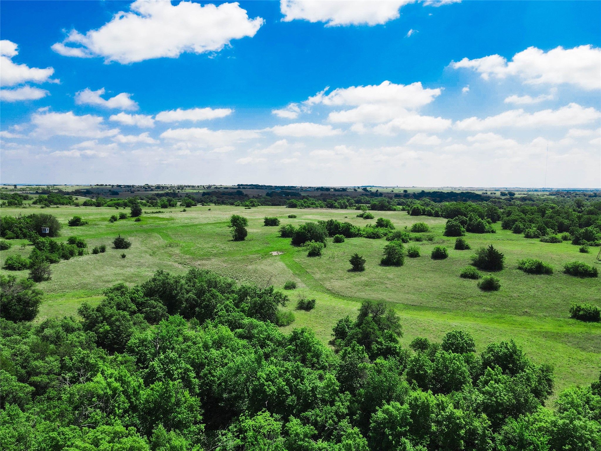 Tbd Merritt Road Forestburg TX 76239
