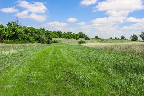 Tbd Merritt Road Forestburg TX 76239