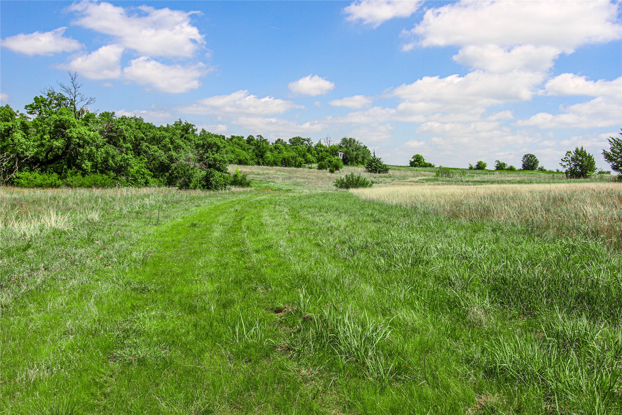 Tbd Merritt Road Forestburg TX 76239