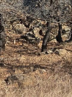 138 Cortez Drive Nocona TX 76255