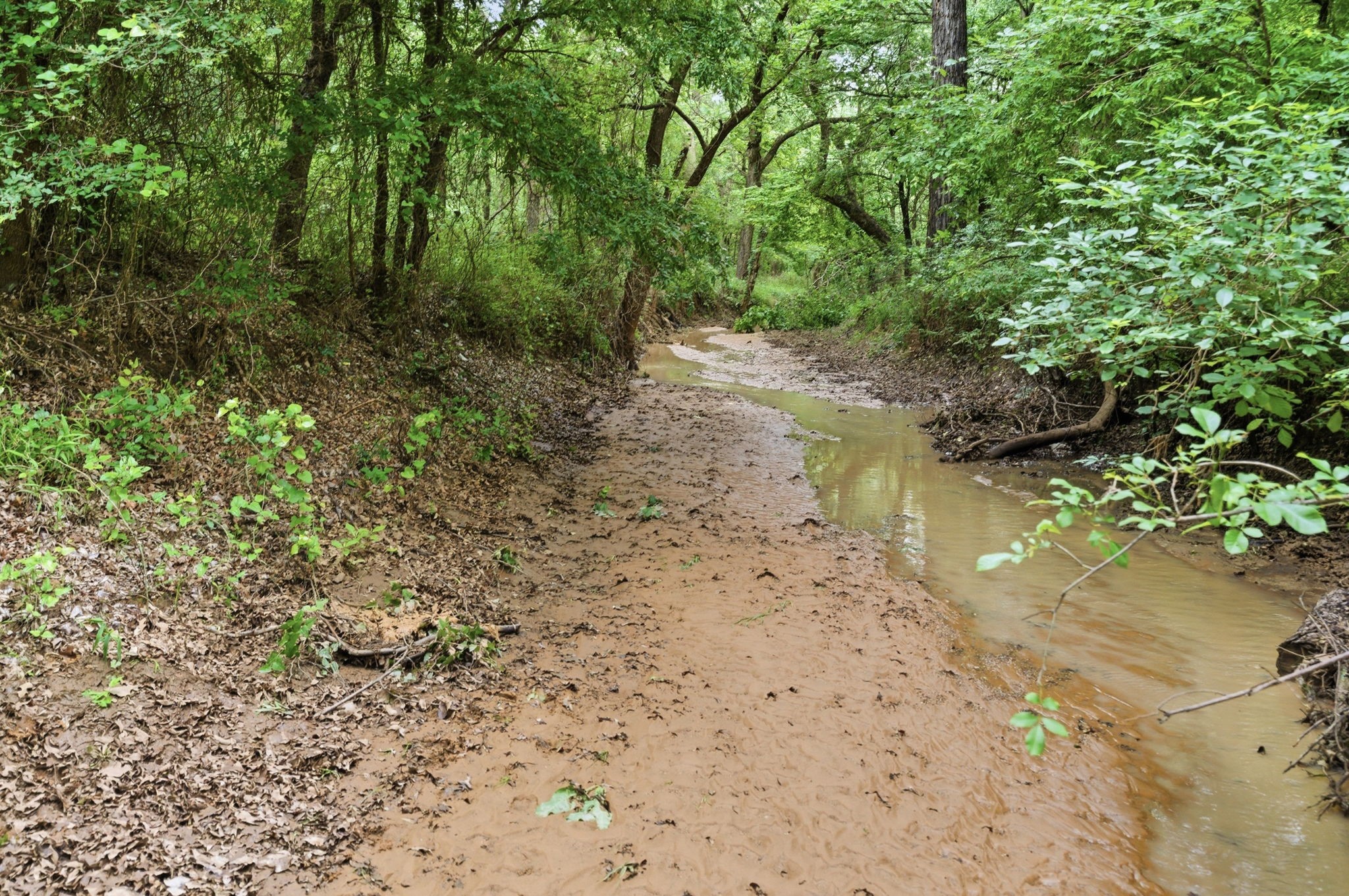 Tbd Old Postoak Road Bowie TX 76230