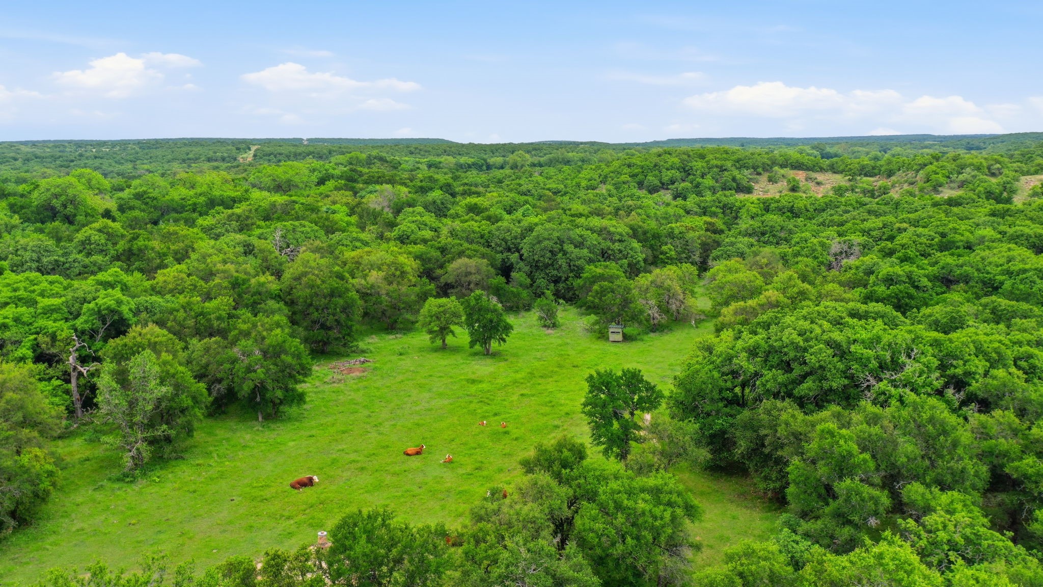 Tbd Old Postoak Road Bowie TX 76230