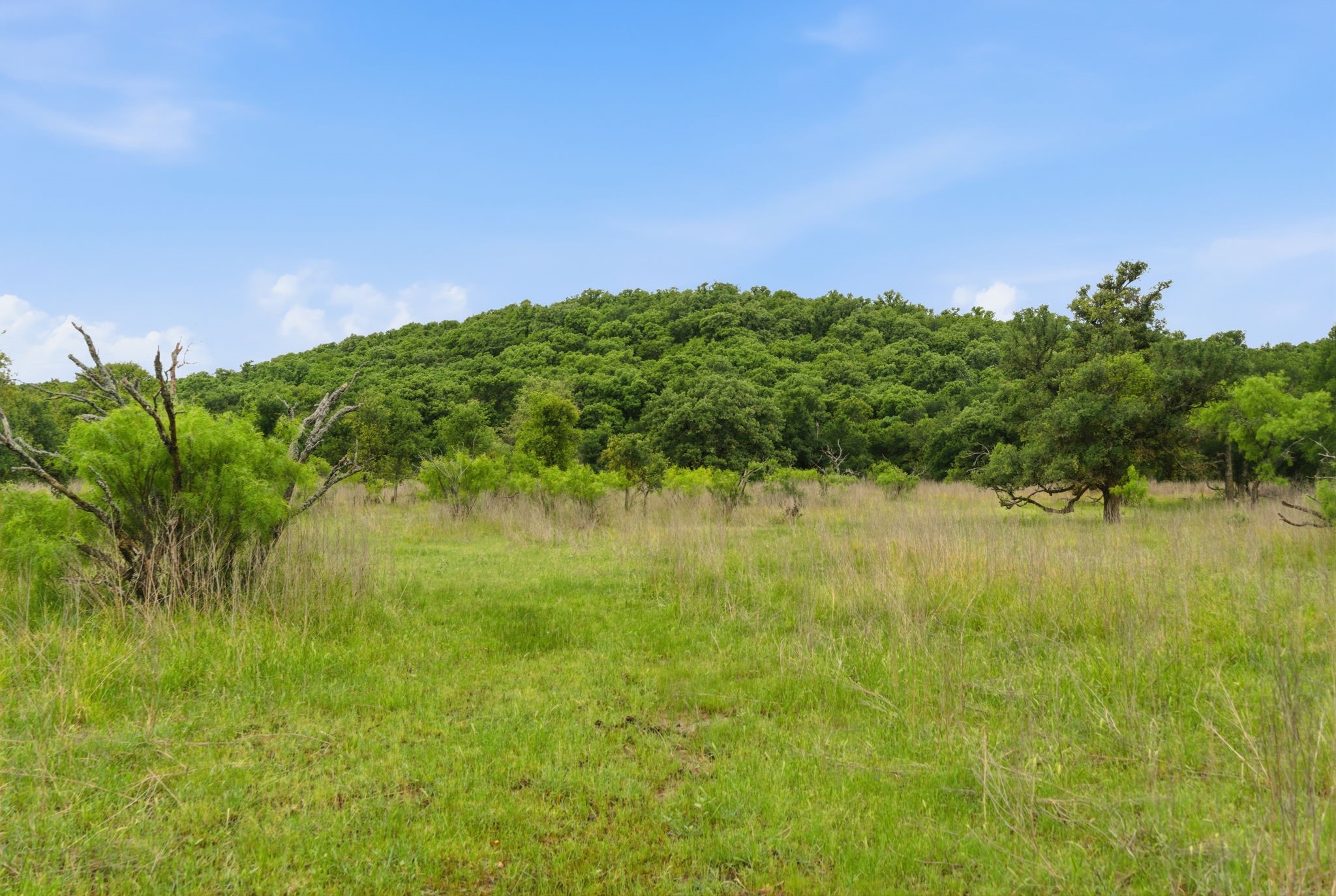 Tbd Old Postoak Road Bowie TX 76230