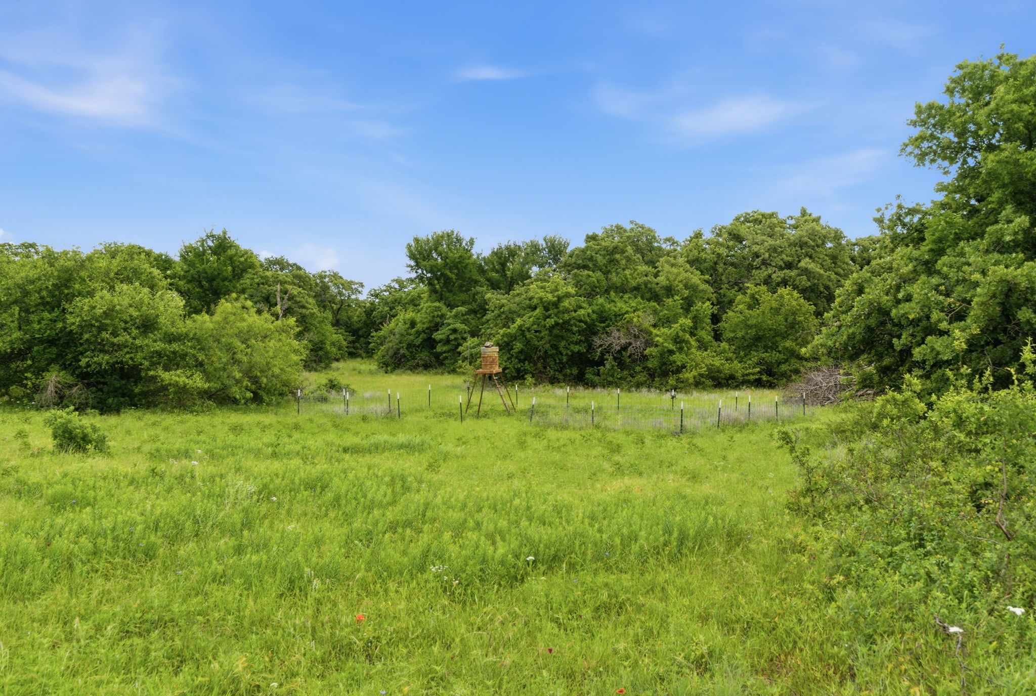Tbd Old Postoak Road Bowie TX 76230