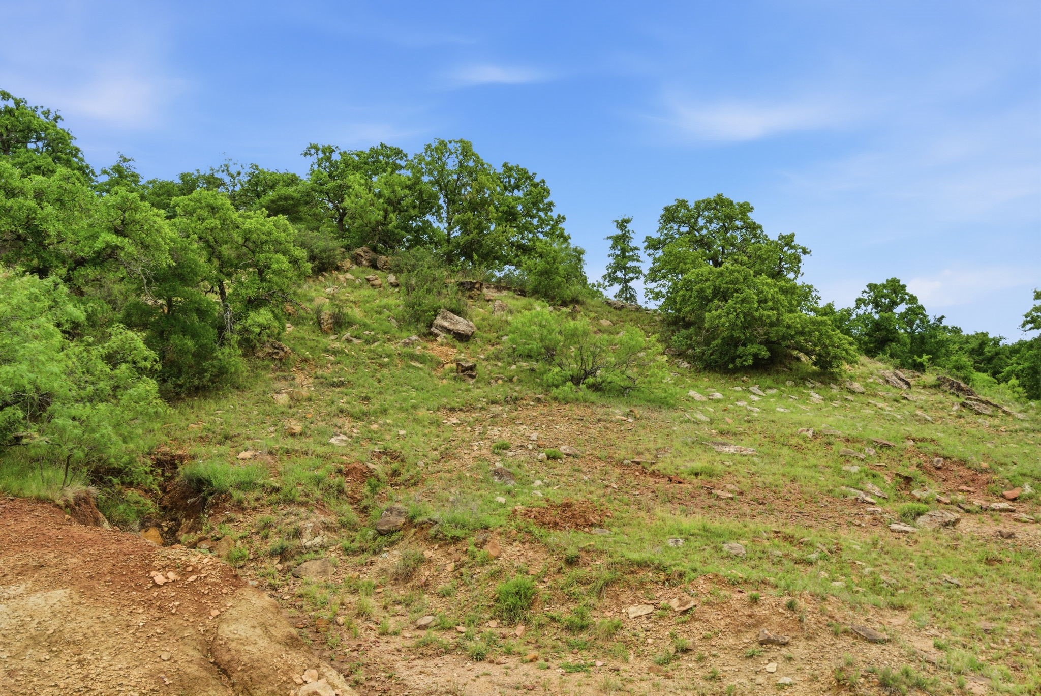 Tbd Old Postoak Road Bowie TX 76230