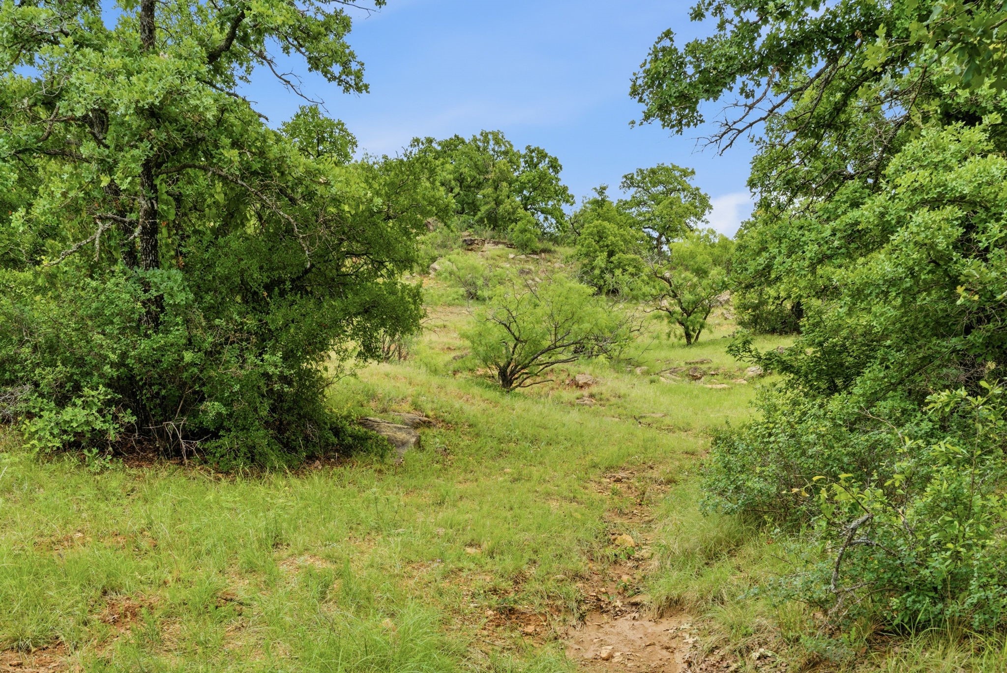 Tbd Old Postoak Road Bowie TX 76230