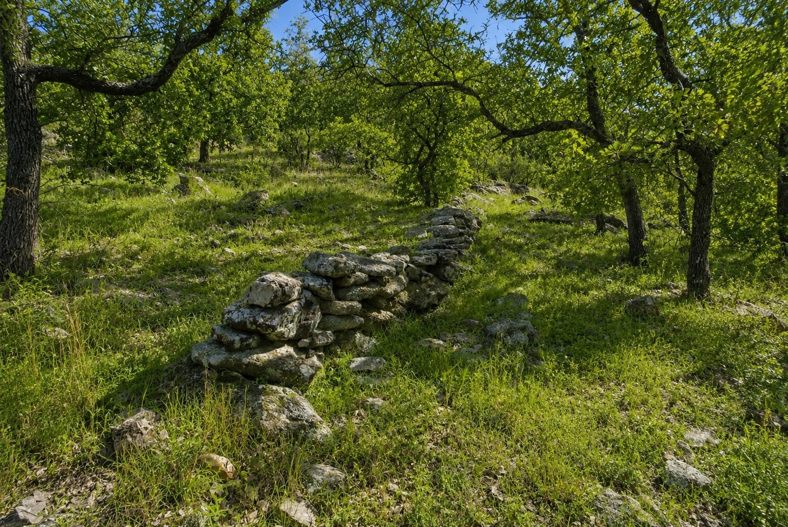Tbd Old Postoak Road Bowie TX 76230