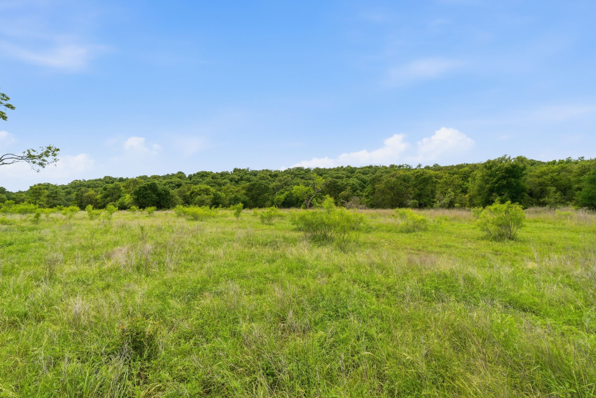 Tbd Old Postoak Road Bowie TX 76230
