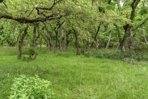 Tbd Old Postoak Road Bowie TX 76230