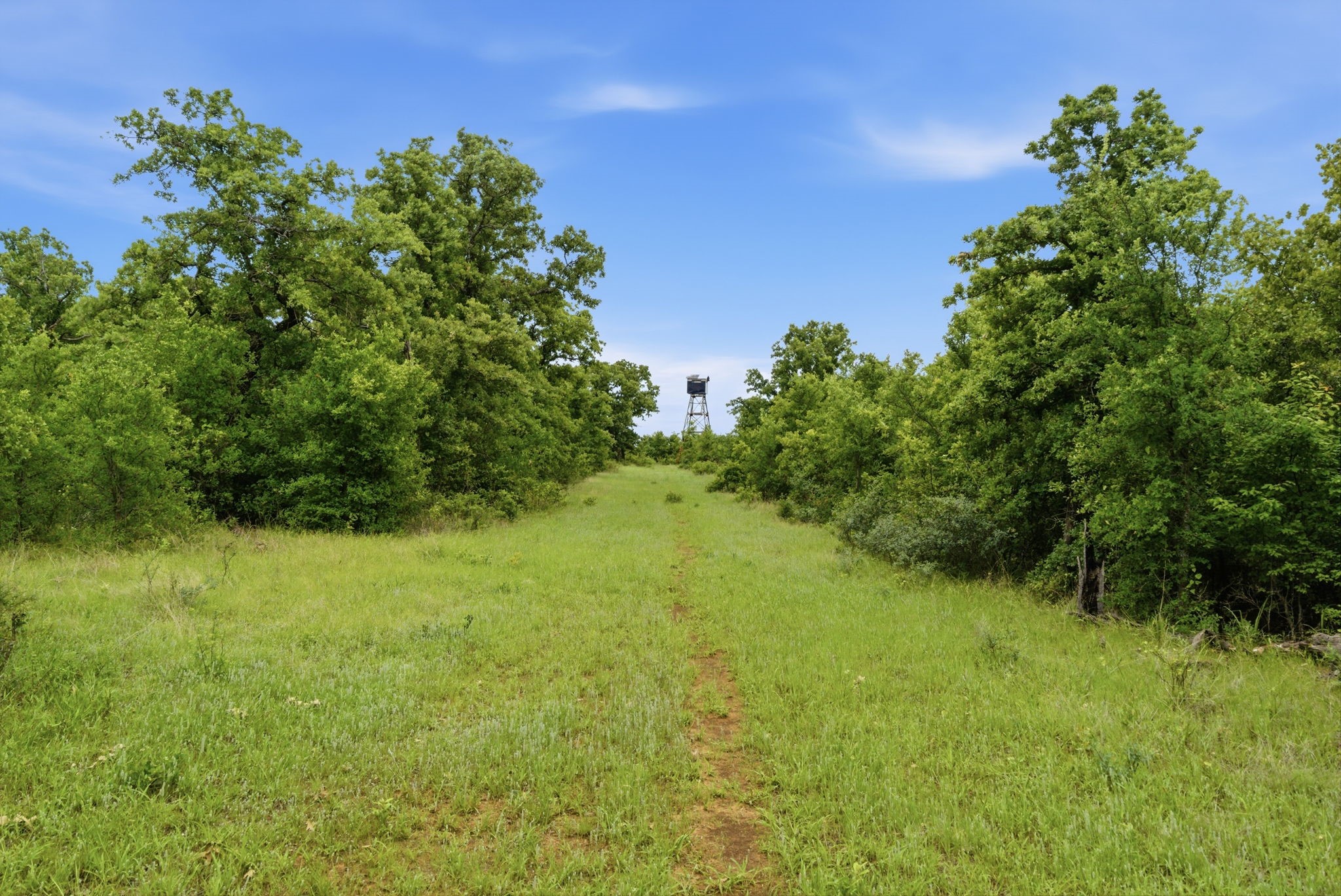 Tbd Old Postoak Road Bowie TX 76230