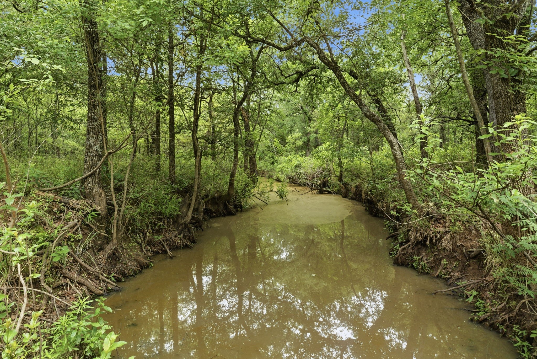 Tbd Old Postoak Road Bowie TX 76230